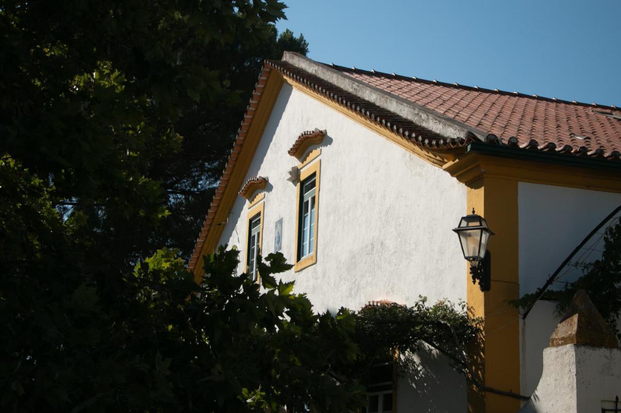 Quinta De Santana Da Varzea 아브란테스 외부 사진