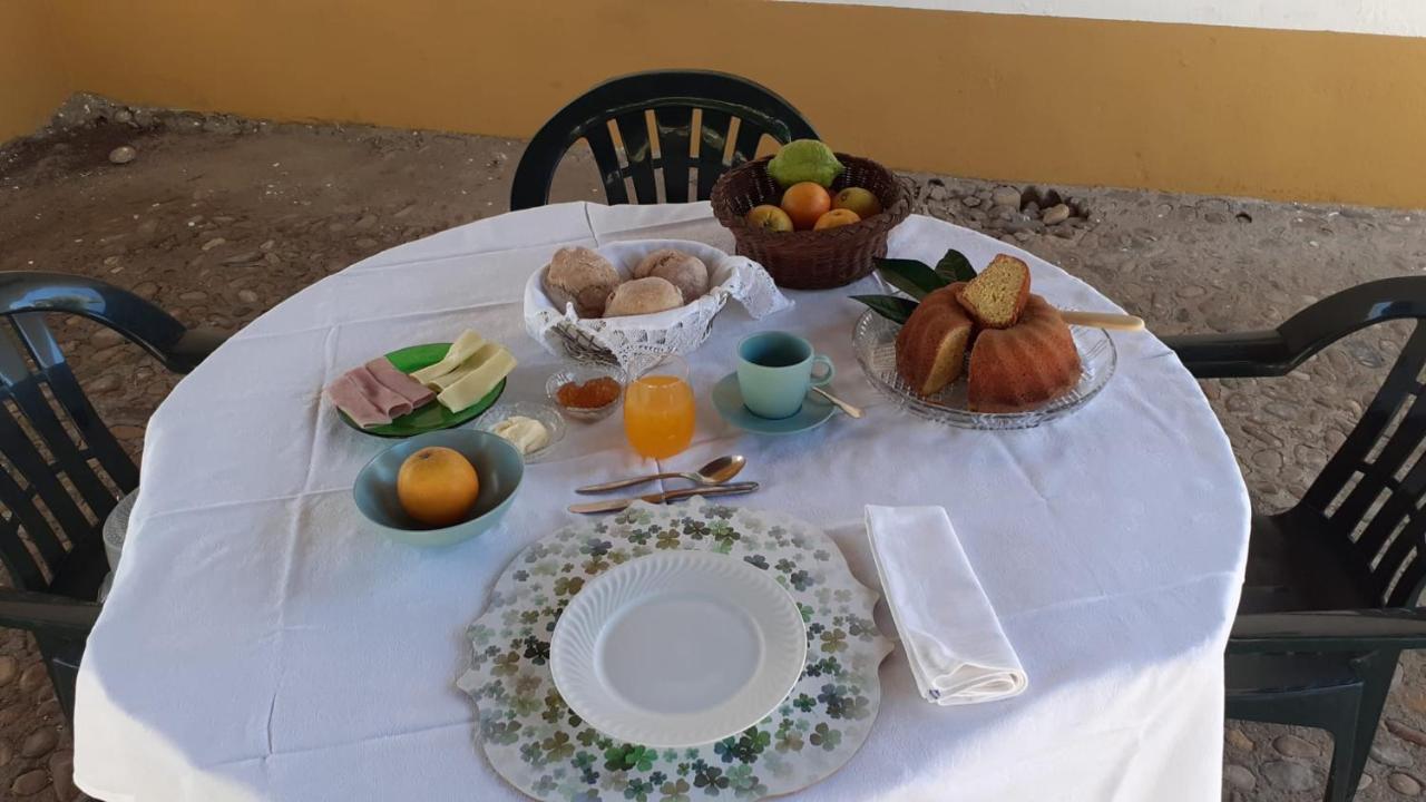 Quinta De Santana Da Varzea 아브란테스 외부 사진