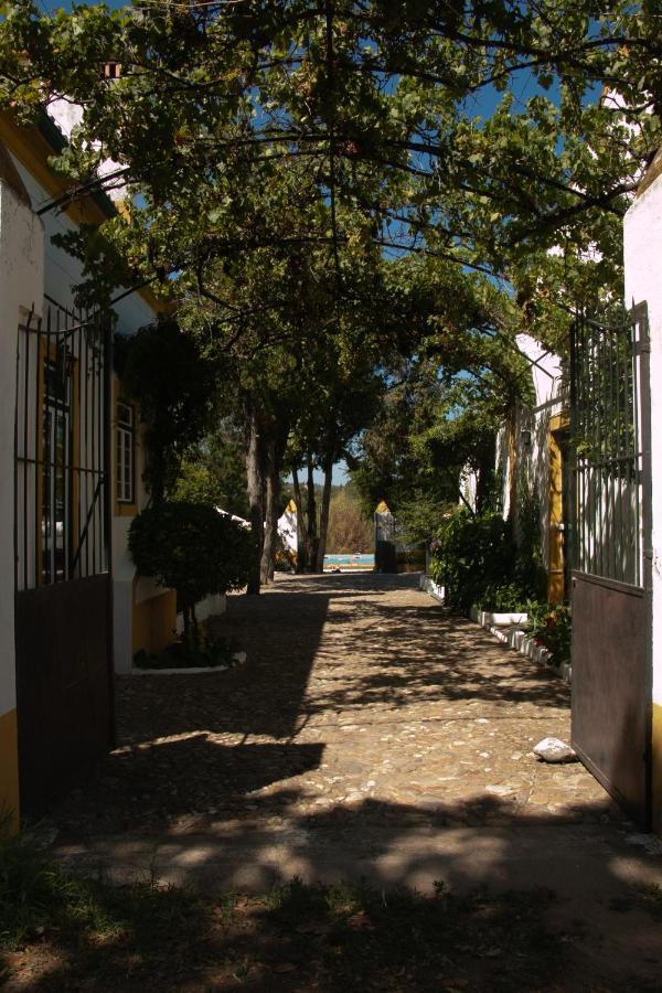 Quinta De Santana Da Varzea 아브란테스 외부 사진
