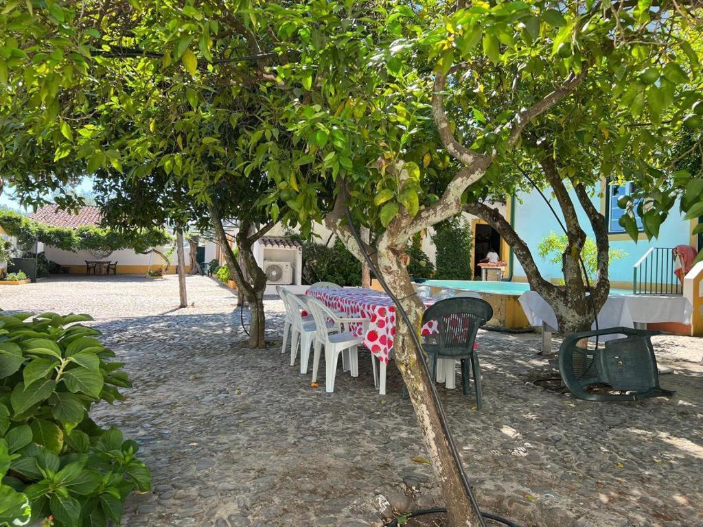 Quinta De Santana Da Varzea 아브란테스 외부 사진