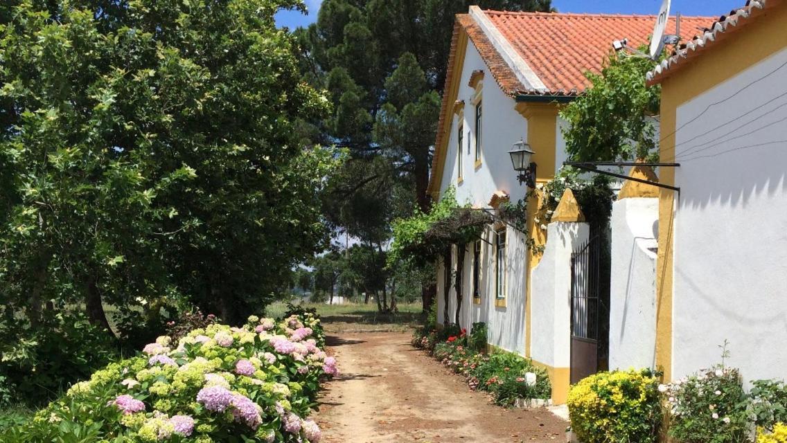 Quinta De Santana Da Varzea 아브란테스 외부 사진
